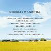 SHIRO White Tea Hand Serum 55g Hand Cream