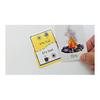 Card Game "Ready, Set, Eigo! Card Game" English Card Game A Fun Game To Learn English (128 Cards Included) (LEVEL 1 (original Game))