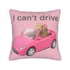 Hamster Faded Funny s Style Square Pillow Cases  Cushion Cover Fashion Zippered Decorative Pillowcase for Home cm