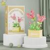 MOC Blume Sukkulente Topfpflanze Modellbaustein DIY Ewiger Strauß Zuhause Schreibtisch Pflanzen Dekoration Ziegel Mädchen Geschenk Kinderspielzeug