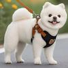 Pet Dog Leash Set Small Medium Dog Vest Breathable Puppy Chest Strap French  Chihuahua Pet
