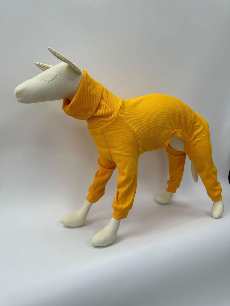 European & American Solid Color High-Neck Slim Fit Ribbed Dog Clothes for Autumn & Winter.