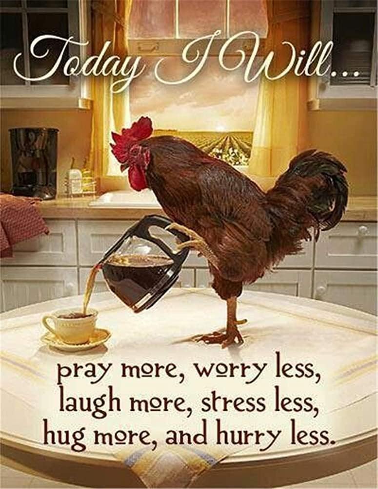 

Vintage Rooster Today I Willpry MoreWorry Less Metal Tin Sign Retro Home Kitchen Farm Bar Pub Cafe Wall Decor 20x30cm（7.8x11.8inch）