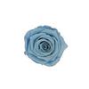 P-1  21 Preserved Roses in a Box Wedding Decor Floral Arrangements Wedding Dried Flower Home Decor Baby Shower Flowers 2~3cm