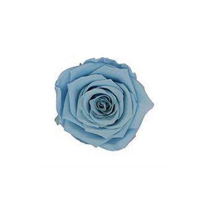 P-1 21 Preserved Roses in a Box Wedding Decor Floral Arrangements Wedding Dried Flower Home Decor Baby Shower Flowers 2~3cm