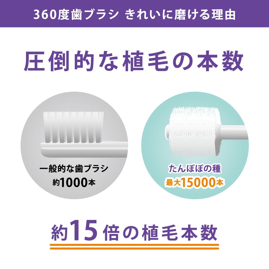 Sonic Electric IPX7 Gift Replacement Brush Heads [Dandelion Seeds] [Official] 360-degree Toothbrush, Waterproof, Set, White,