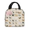 Border Collie Insulated Lunch Bag for Women Office Cooler Thermal Food Box Tote Leakproof Lunch Boxes Container
