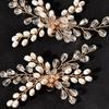 1 Pair Bag Pendant Brooch High Heel Charm Buckle Pearl Shoes Clip Shiny Clips Wedding Shoes Decorations