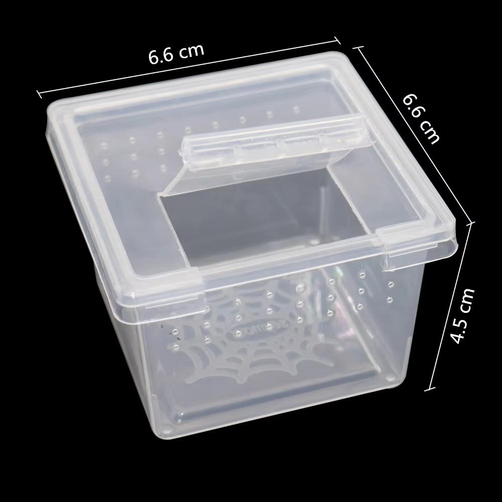 5Pcs Spider Cultivate Transparent Box Reptile Cage Hatching Container Rearing Tank Insect Rearing Living Vivarium Terrarium