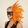 Feather Side Headpiece with Lace Eye Mask for Carnival Parade Masquerade Ball Mardi Gras Party Samba Dance Costume Outfit
