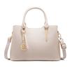 Mother's Day gift bag for women 2024 spring/summer new light luxury mom bag fashionable crossbody handbag for middle-aged ladies