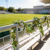 78.7" Soccer Tinsel Garland, Green And Gold Football Party Decoration with Soccer Cutouts for Event, Fan Cheering, Sports Birthday Party Supplies