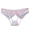 Sexy Hollow Out Lace Underwear Women Low Waist Hipster Floral Embroidered Panties Sheer Thin Briefs