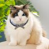 Handgestricktes Katzenhalsband mit Knopfdesign, niedliche Schleifendekoration, weiche, bequeme Halskette, Katzenhalsband