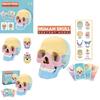 4d Human Skull Model Detachable Specimen Cranium Model Educational Toy