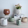 Nordic Ceramic Flower Basin Face Multi-meat Green Plant Flower Pot Vase Retro Vase Home Decoration Ceramic Planter Pot Desktop