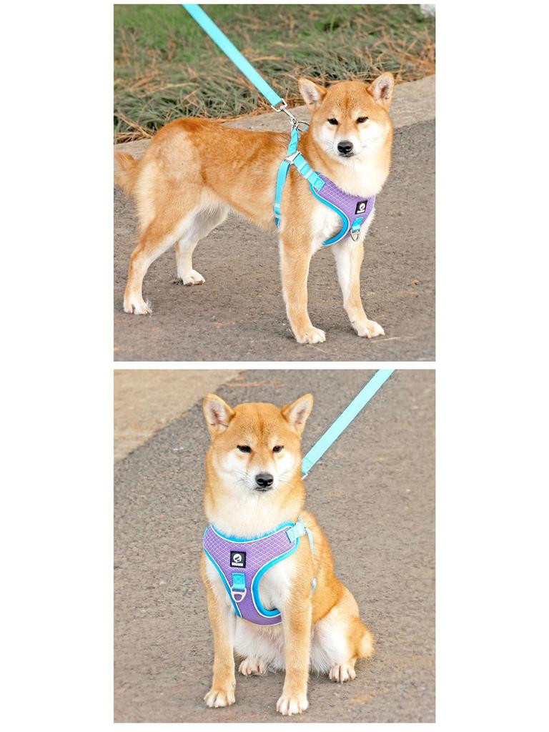 Adjustable Reflective Shiba Inu & Corgi Harness: Anti-Pull Leash Vest for Medium to Large Dogs