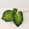 Simulation green plant 3 fork color taro leaves 3D printing color taro home garden decoration plant wall flower material high simulation