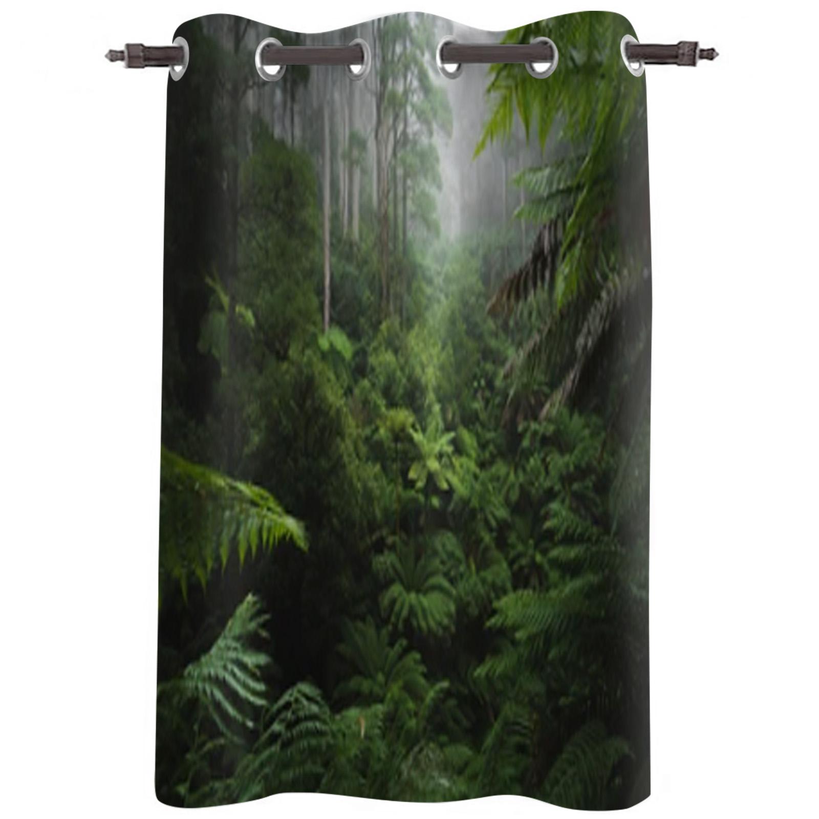 Тропический лес с утренним туманом — фото 2