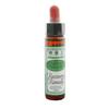 Santiveri Bach Remediul de Recuperare 10ml