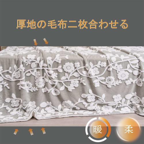 Lattefine Double-Layer Thick Microfiber Blanket, Warm, Extra Warm, Anti-Static, Washable, Antibacterial, Odor Resistant, Suitable for All Seasons, Cam