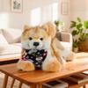 Chongker Shiba Inu Plush Cute Dog Blanket Plush Cute Body Perfect Birthday Gift Toy, Toy, Toy, Gift, Pillow,