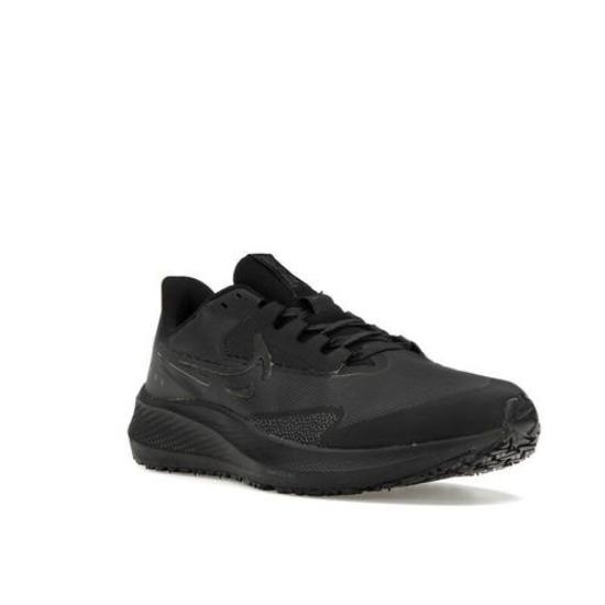 Nike Air Zoom Pegasus 39 Shield Low Black DO7625-001