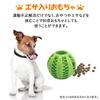 Wellvie Dog Toy Pet Dog Pet Food Chew Educational Exercise Stress Large Dogs 12-Piece Set, Supplies, Bowl, Feeder, Rope, Carrot, Ball, Supplies, Toys,