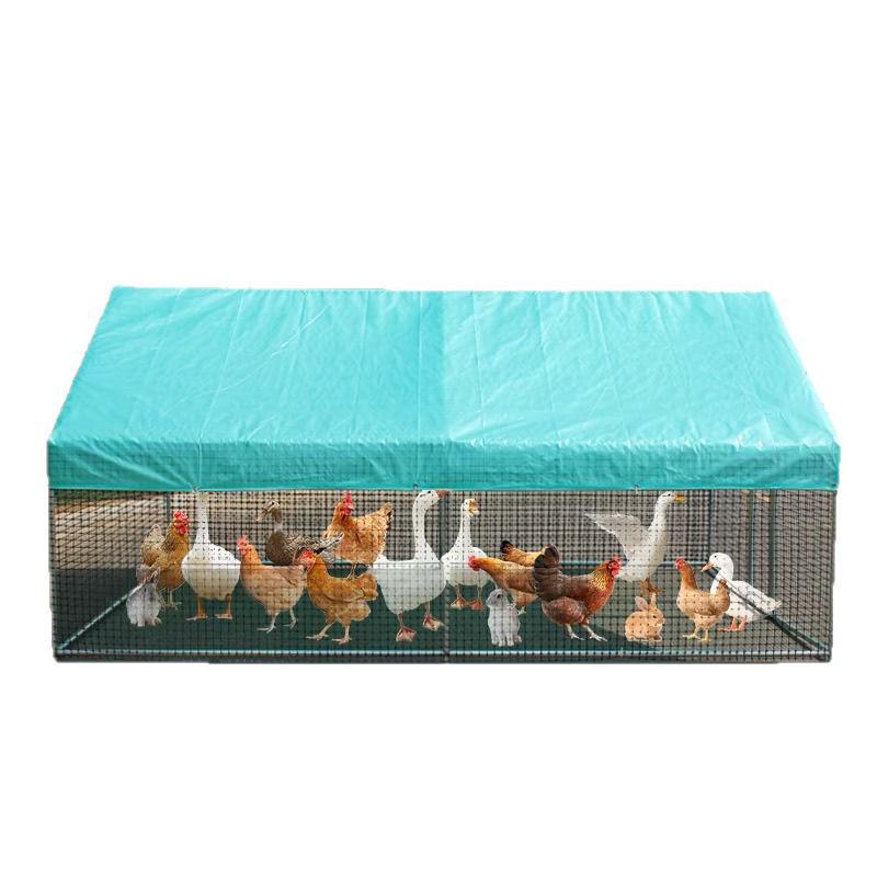 Large Rainproof Outdoor Chicken Coop for Poultry and Peacocks with Windbreak and Pigeon Protection
