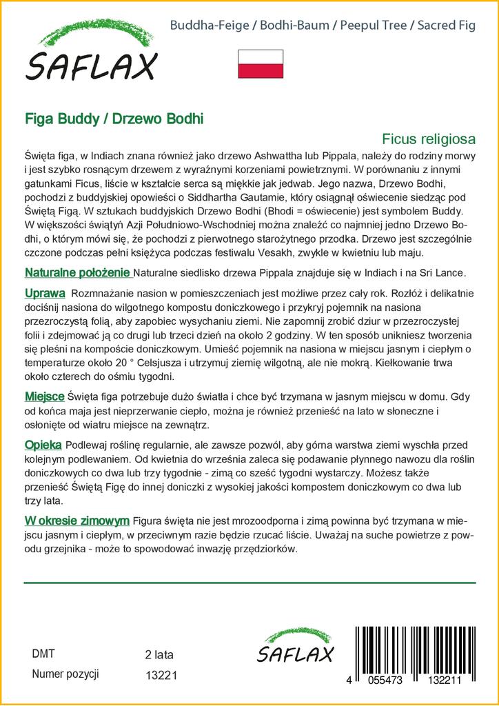 SAFLAX Peepul Tree / Sacred Fig - 100 Seeds - Ficus Religiosa