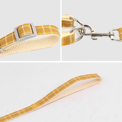 Köpek – Köpek Tasmaları ve Tasma Kayışları