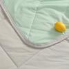Class A Antibacterial Lightweight Nude Feel Quilt Summer Cool Air Conditioner Quilt Instant Cool Silky Washable Melon Quilt