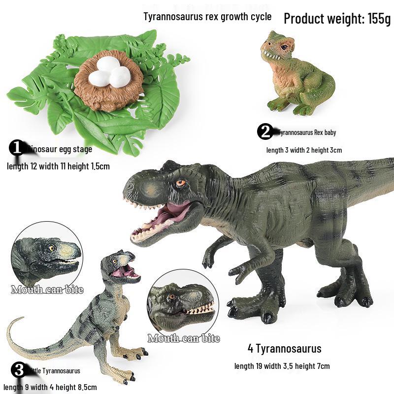 Montessori Cognitive Models: Sea Turtle, Hen, Frog, Snail, Butterfly, Bee Growth Cycle Toys