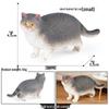 Three-Color Animal Model Plush Cat Toy - British Shorthair, Siamese, Persian, Orange, and Leopard Cat Simulation for Kids.