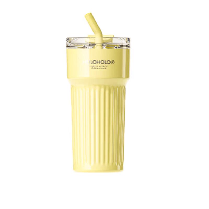 HOLOHOLO Little Rome Insulated Straw Mug