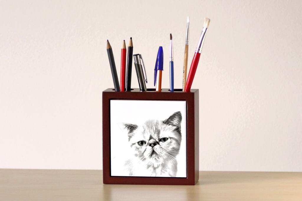 Exotic Shorthair – Pen holder with a cat, desk organizer with a print | Art-Dog