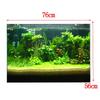 Aquarium Background Poster Fish Backdrop PVC Underwater Decor Paper Cling Sticker for Decals