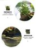 Felsenlandschaft Kreatives Wasser Fengshui Chinesischer Brunnen Desktop-Dekorationen Garten-Dekorationen Luftbefeuchter Haus Innenraum Büro-Dekor 3J5D