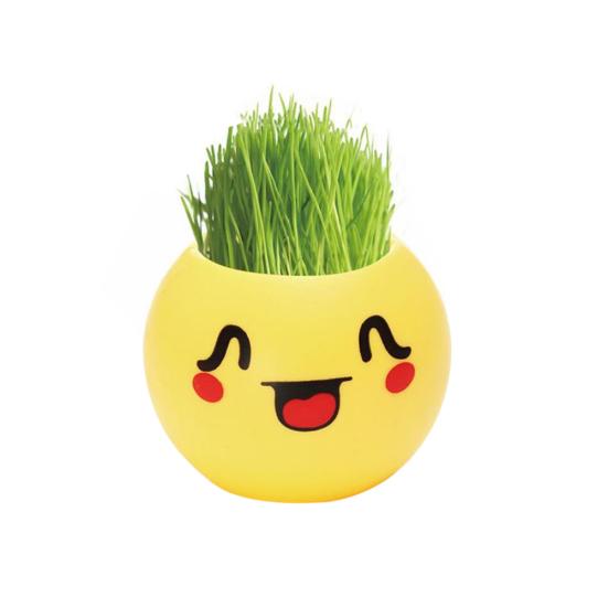 

Милый пластиковый горшок Mini Emoji DIY посадка травы домашний рабочий стол окно цветочный горшок 5#