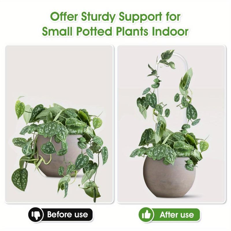 A Top Quality U-shaped Acrylic Plant Climbing Frame, Transparent and Durable, Suitable for Indoor Vine and Flower Pot Support