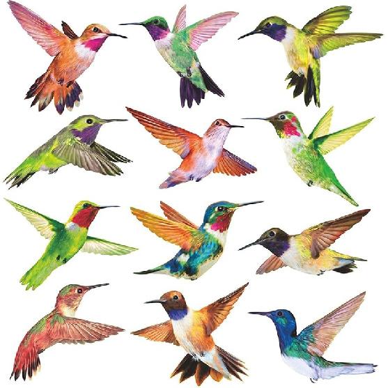 Anti-Collision Window Clings Bird Alert Collision Decals to Prevent Bird Strikes on Window Glass - Set of 12 Hummingbirds Set of 12 (12 different b