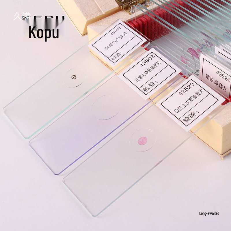 Microscope Specimen Mount: Four Major Human Tissues for Junior/High School - Nerve, Epithelial, Connective, and 'e' Slide