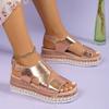 Hot Selling Sandals Platform Shoes for Women 2025 Summer Peep Toe Wedge Women's Silver Luxury  Hemp Light Casual Ladies Sandal
