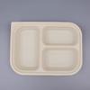 Compostable 3-Compartment Takeout Lunch Boxes