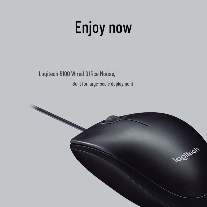 Logitech B100 Wired Optical Mouse