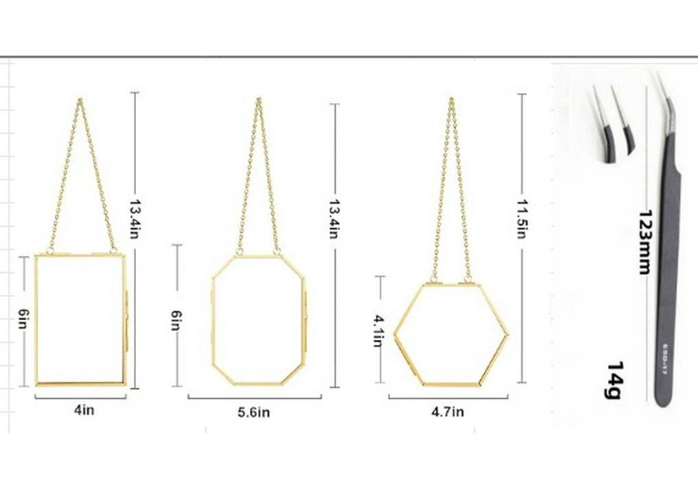 Golden Brass Three-Piece Hanging Wall Frame Set for Photos and Plant Specimens Three-piece set without clips