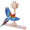 Bite Resistant Wood Parrot Swing Wear-resistant Bird Cage Decoration  for Parrots Parakeets