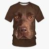 Summer Fashion Fun Animal Dog Pattern T-Shirt New Trend Casual 3D Printed Crew Neck Short Sleeve Top