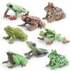 High Quality Decorative Frog Statues Including Red Eyed Tree Frog And Darwin Frog Models