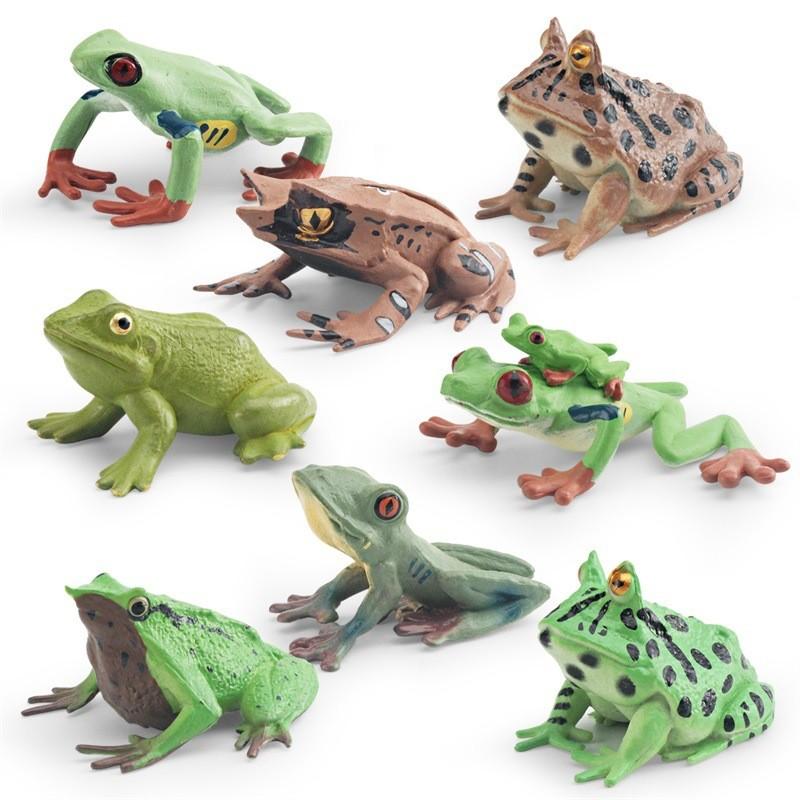 High Quality Decorative Frog Statues Including Red Eyed Tree Frog And Darwin Frog Models
